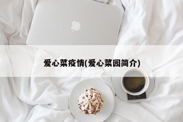 爱心菜疫情(爱心菜园简介)